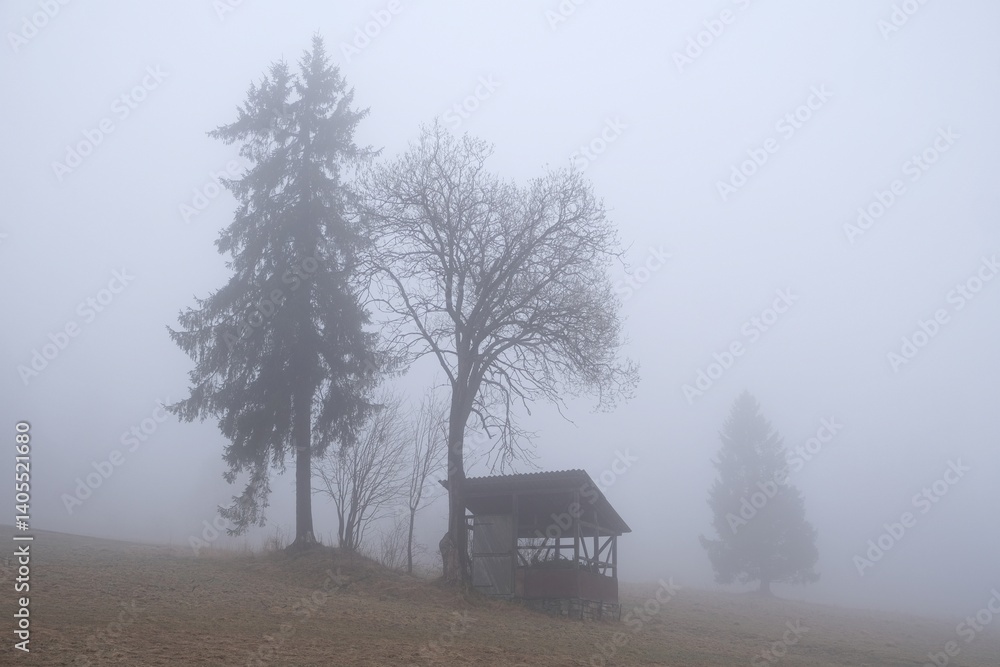 Very misty scenery of hills with wooden hut and trees.