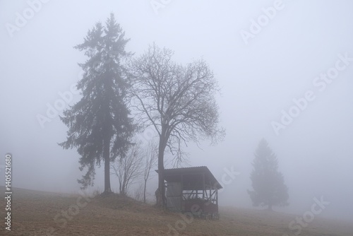 Obraz na płótnie Very misty scenery of hills with wooden hut and trees. w salonie