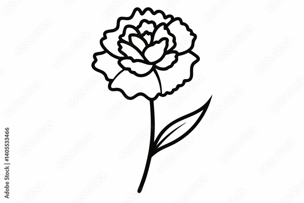 carnation line art vector illustration black and white carnation line art vector illustration black and white