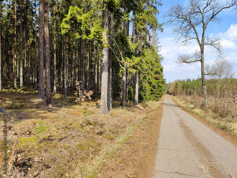 Fototapeta premium A dirt road in the middle of a wooded area with trees