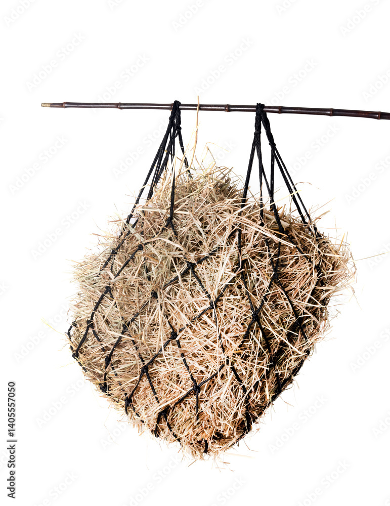 horse hay net