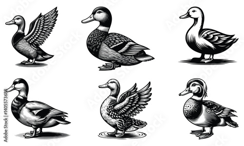 set of geese