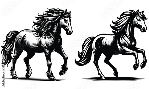 black horse vector illustration