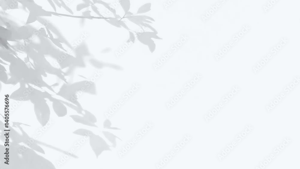Moving leaves shadow animated overlay, transparent 4K video, alpha channel, ProRes 4444 Moving leaves shadow animated overlay, transparent 4K video, alpha channel, ProRes 4444