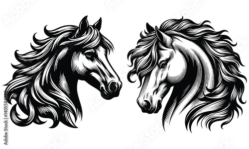 horse vector illustration