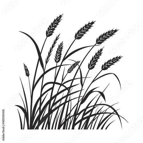 Silhouette of Wild Grass and Wheat Stalks