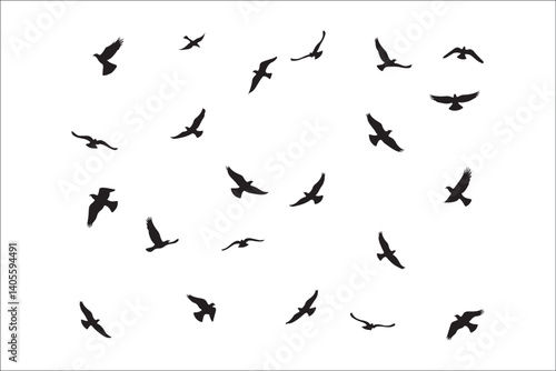 Wallpaper Mural Bird Silhouette Bundle | Flying Birds Vector Clipart | SVG, PNG, EPS for Cricut & Laser Cutting

Birds Vector Silhouettes | Wildlife Animal SVG Files | Digital Bird Clipart for Crafts & Decor

Flying  Torontodigital.ca