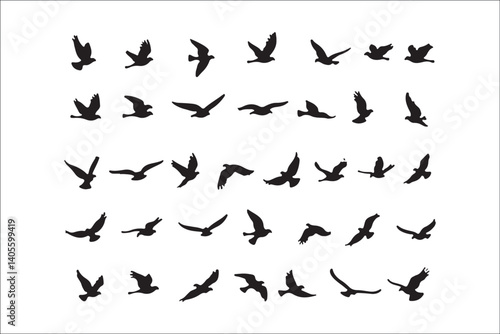 Wallpaper Mural Bird Silhouette Bundle | Flying Birds Vector Clipart | SVG, PNG, EPS for Cricut & Laser Cutting

Birds Vector Silhouettes | Wildlife Animal SVG Files | Digital Bird Clipart for Crafts & Decor

Flying  Torontodigital.ca