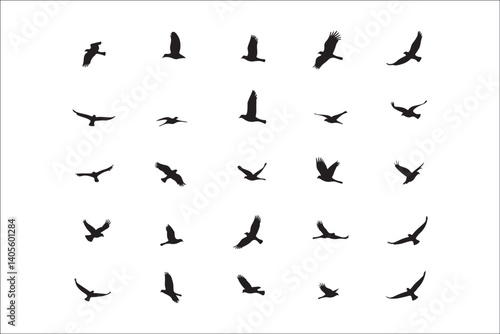 Wallpaper Mural Bird Silhouette Bundle | Flying Birds Vector Clipart | SVG, PNG, EPS for Cricut & Laser Cutting

Birds Vector Silhouettes | Wildlife Animal SVG Files | Digital Bird Clipart for Crafts & Decor

Flying  Torontodigital.ca