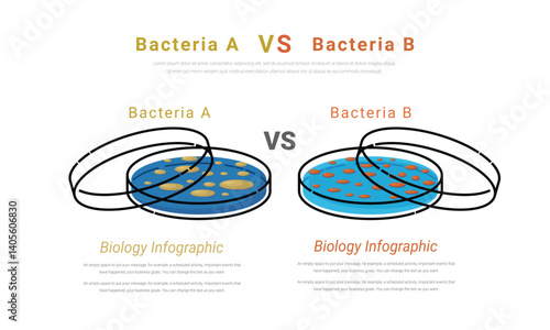 Petri Dish illustration for versus or compare and comparison concept, can used for Science, education, chemistry, laboratory concept.