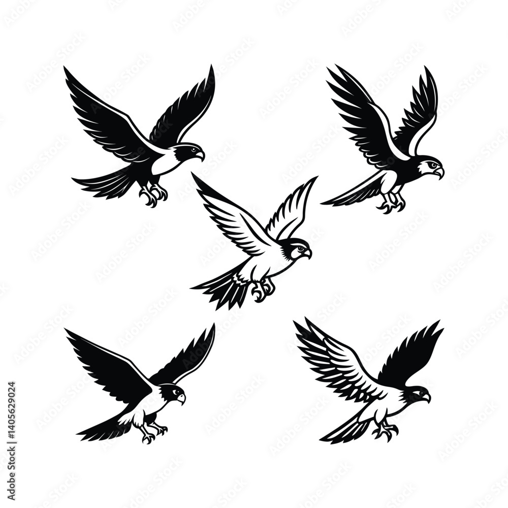 Obraz premium Silhouette falcon bird flying eways