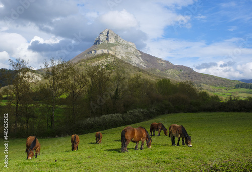 Obraz na płótnie Horses next to Mount Beriain (San Donato), Arbizu, Navarre w salonie