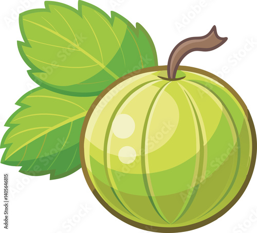 A vibrant, detailed vector art illustration of beautiful gooseberries, showcasing fresh, colorful fruit with artistic flair and natural appeal.