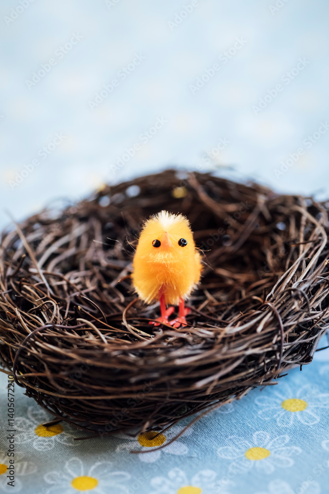 Décoration pour les fêtes de Pâques avec un mini poussin adorable