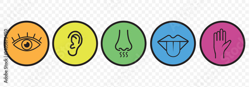 Five senses of human nervous system vector illustration. Vision through eye, smell with nose, taste with tongue line icon set. Variety Design 5 Five senses. EPS 10.