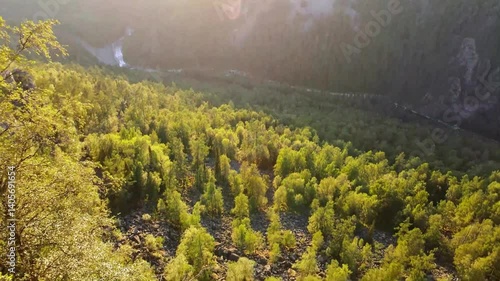 Mesmerizing 4K Drone View of a Picturesque Forest Valley Enveloped in Morning Mist and Illuminated by the First Rays of Sun - Magical Aerial Photography Conveying an Atmosphere of Mystery and Awakenin