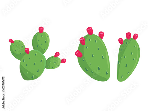 Prickly Pear, Pear Cactus. Flat vector, clipart illustration isolated on white background.