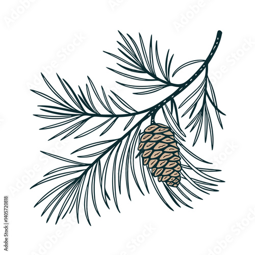 pine cones