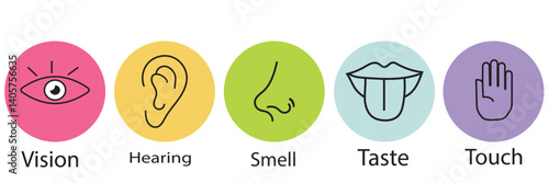 Five senses of human nervous system vector illustration. Vision through eye, smell with nose, taste with tongue line icon set.  Variety Design 5 Five senses.