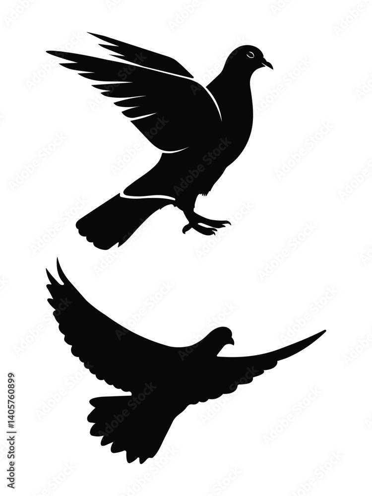 Fototapeta premium Pigeon graceful flight silhouette vector design. 
