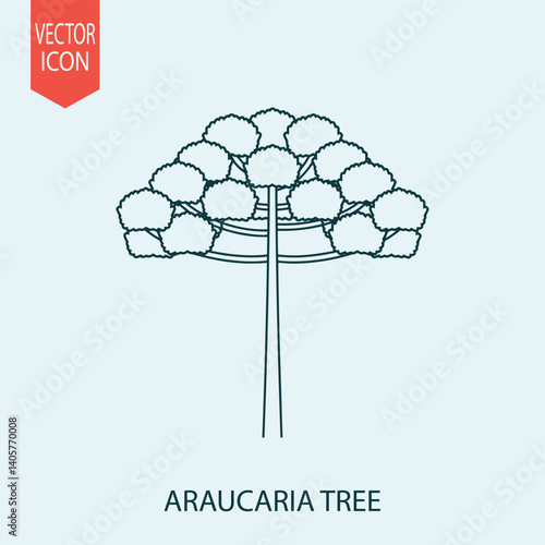 Hand drawn araucaria tree design vector flat isolated illustration