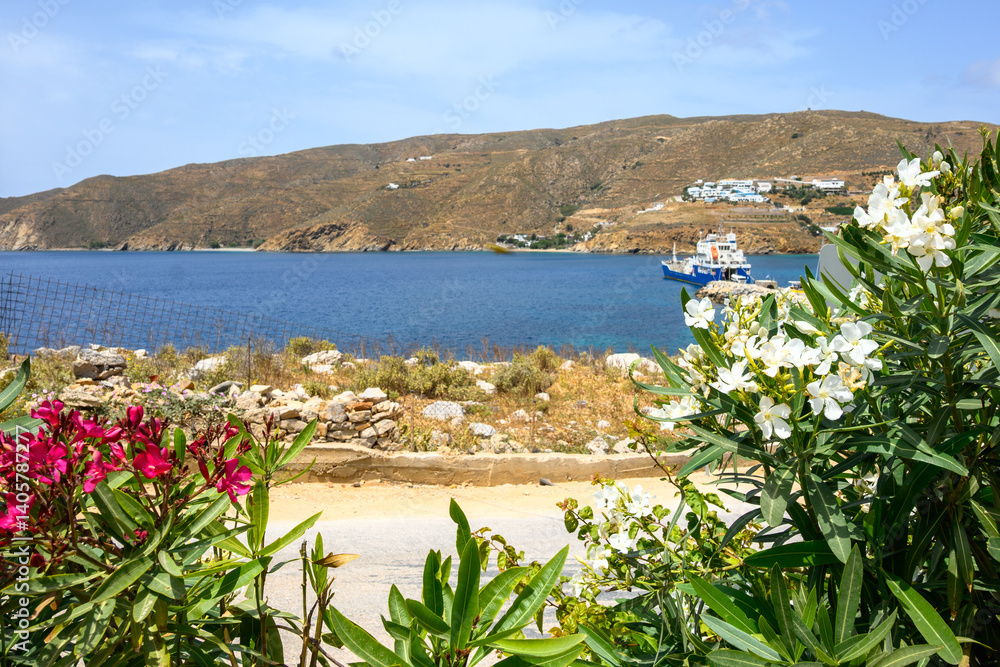 Spring flowering bushes on the island of Amorgos. Cyclades, Greece