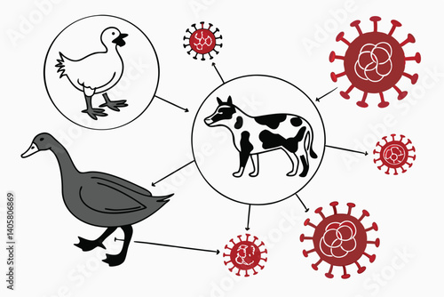 5 Medical illustration, zoonotic diseases, animal to human transmission, coronavirus particles, duck, chicken, cow, cat, human anatomy, internal organs, circulatory system, scientific diagram, educati