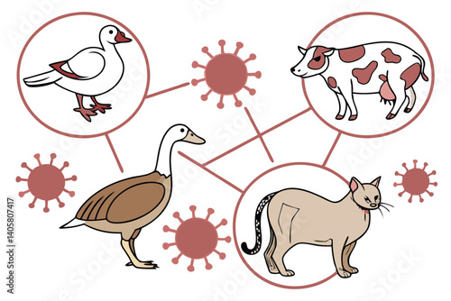 5 Medical illustration, zoonotic diseases, animal to human transmission, coronavirus particles, duck, chicken, cow, cat, human anatomy, internal organs, circulatory system, scientific diagram, educati