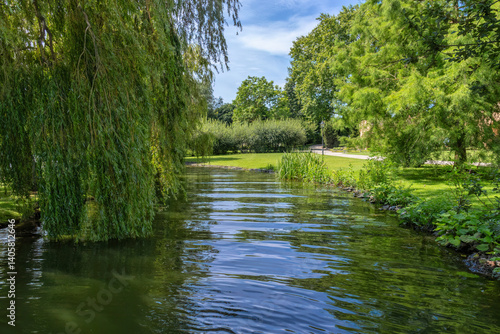Smooth surface of the pond among trees and willows
