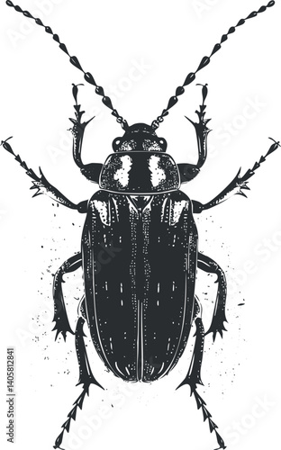 Detailed black illustration of a beetle showcasing its anatomy and intricate features.