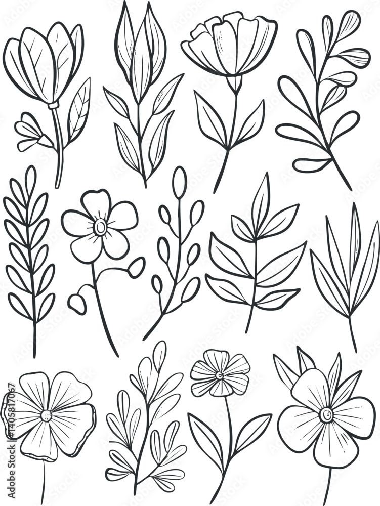 custom made wallpaper toronto digitalA collection of hand-drawn floral and leaf illustrations in a minimalist line art style.