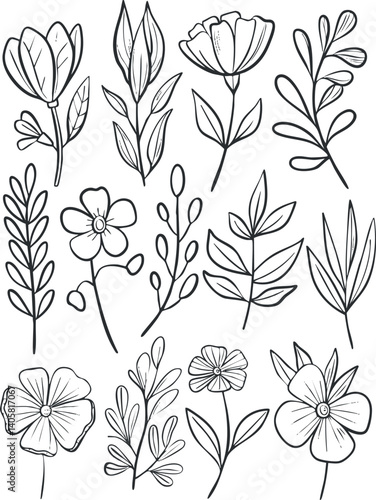 Wallpaper Mural A collection of hand-drawn floral and leaf illustrations in a minimalist line art style. Torontodigital.ca