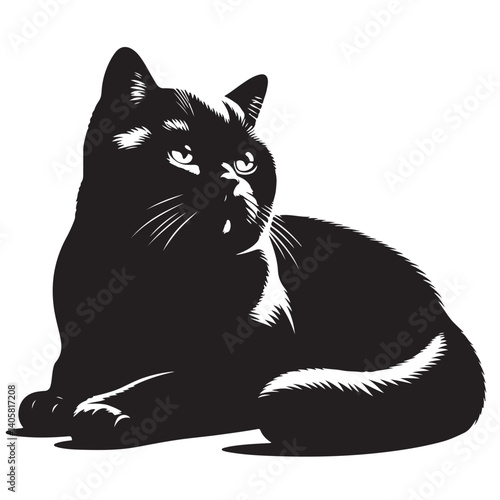 British shorthair cat silhouette vector art.