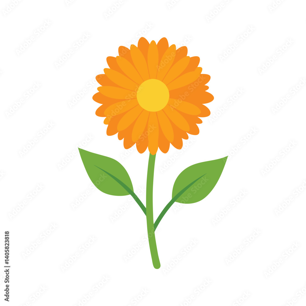 Fototapeta premium calendula flower icon vector illustration