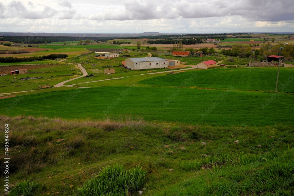 Obraz premium Campos, fincas de la localidad de Valdezate es un municipio y localidad de España, en la provincia de Burgos.