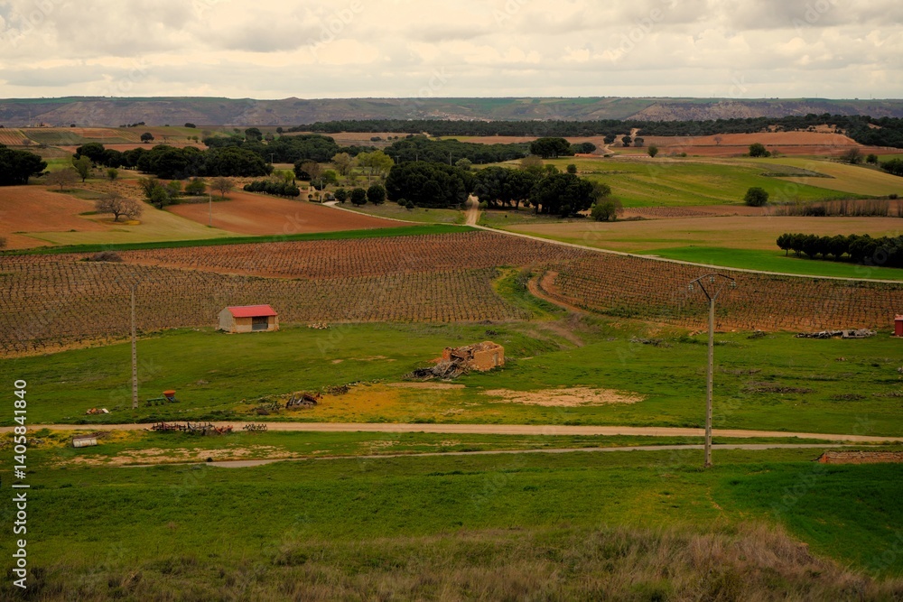 Fototapeta premium Campos, fincas de la localidad de Valdezate es un municipio y localidad de España, en la provincia de Burgos.
