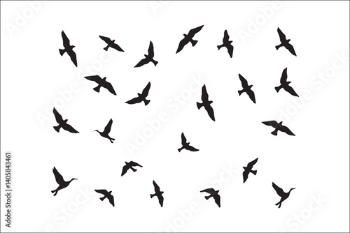 Wallpaper Mural Bird Silhouette Bundle | Flying Birds Vector Clipart | SVG, PNG, EPS for Cricut & Laser Cutting

Birds Vector Silhouettes | Wildlife Animal SVG Files | Digital Bird Clipart for Crafts & Decor

Flying  Torontodigital.ca
