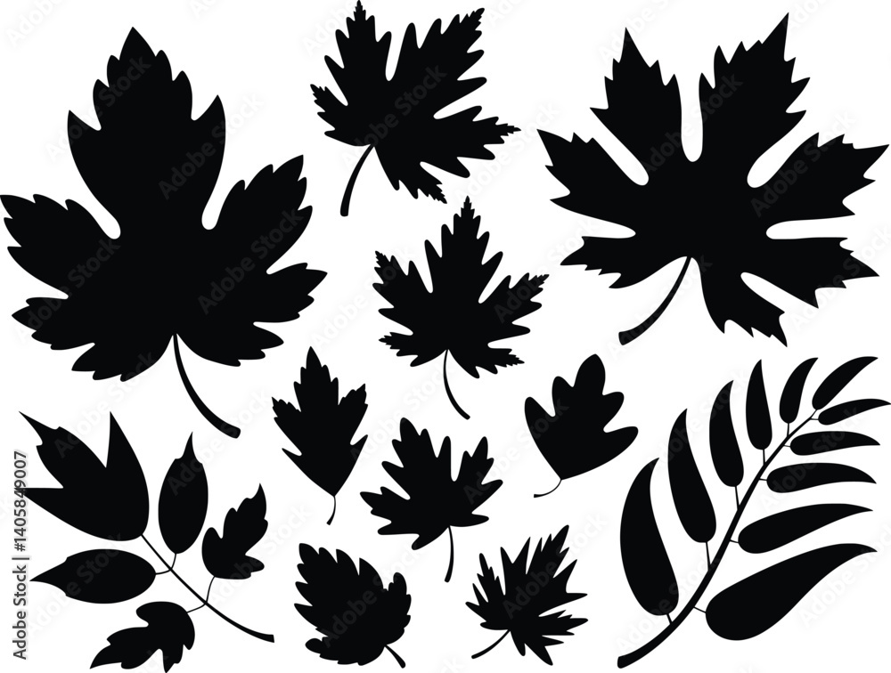 Fototapeta premium Autumn Leaf Silhouette Vector Collection, Fall Foliage Clipart Set