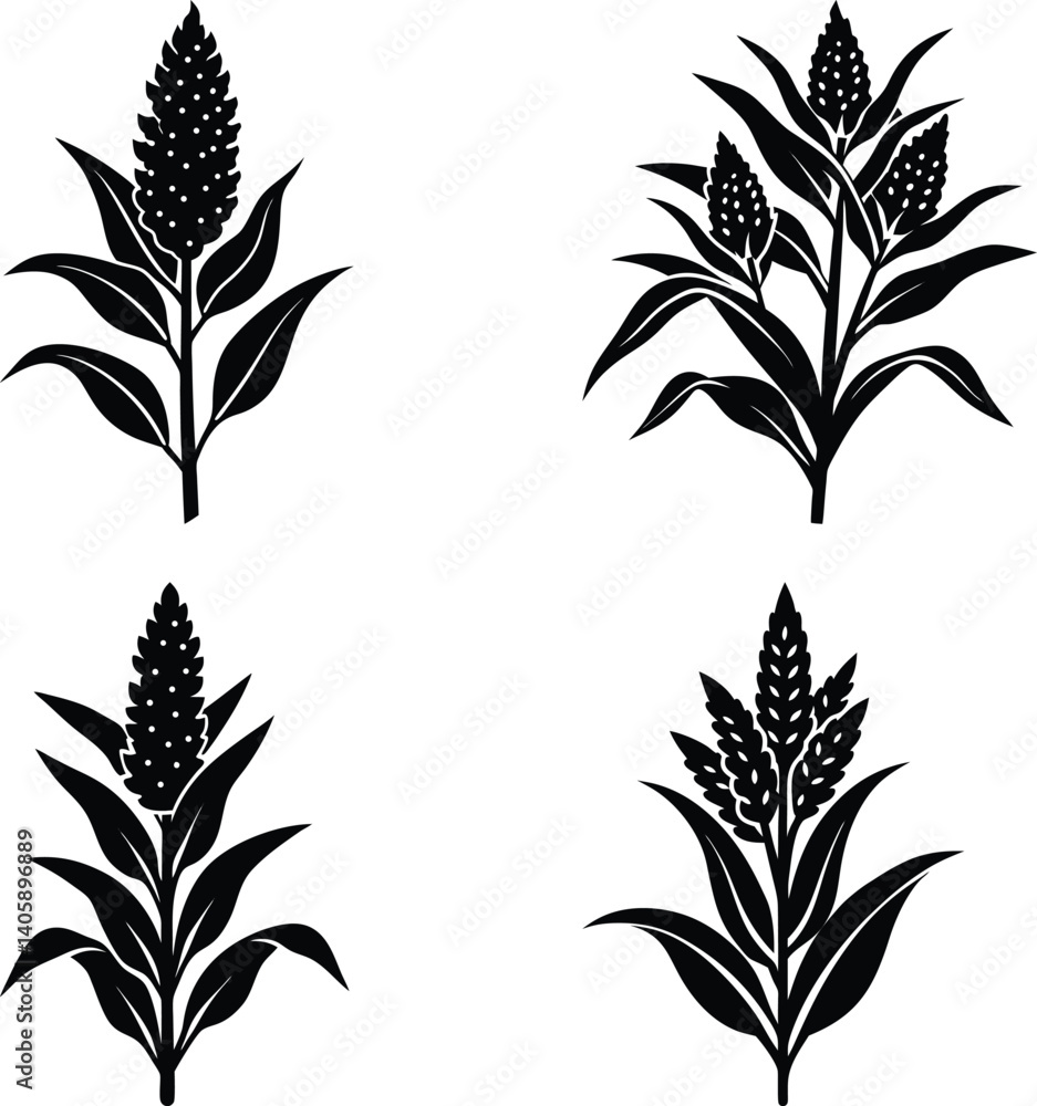 Naklejka premium Sorghum silhouette vector