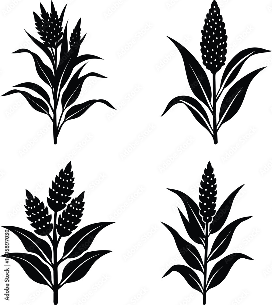 Fototapeta premium Sorghum silhouette vector