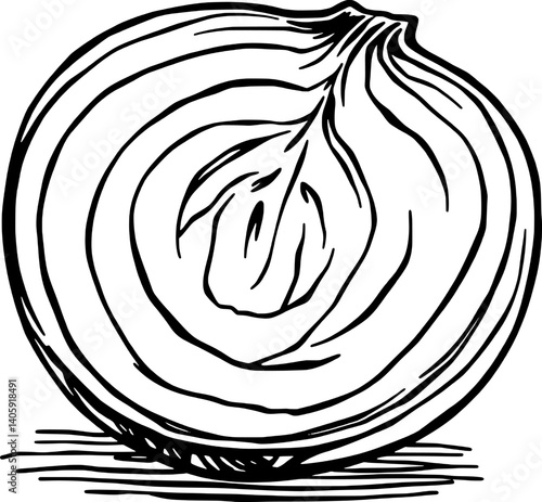 Halved Onion A Detailed Hand-Drawn Illustration Of A Fresh Ripe Onion Showing Its Inner Layers And Texture