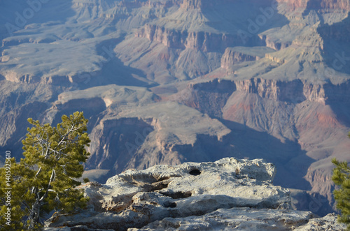 Grand Canyon in the Spring