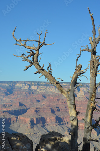 Grand Canyon in the Spring