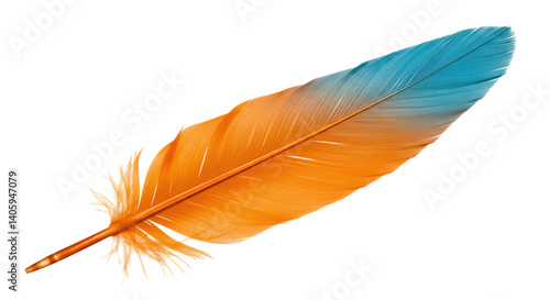 Isolated Orange and Blue Feather