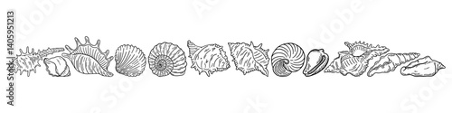 Starfish and shells drawn in flat style. Hand drawn ocean infinity. Vector illustration of sea mollusks on light background.	