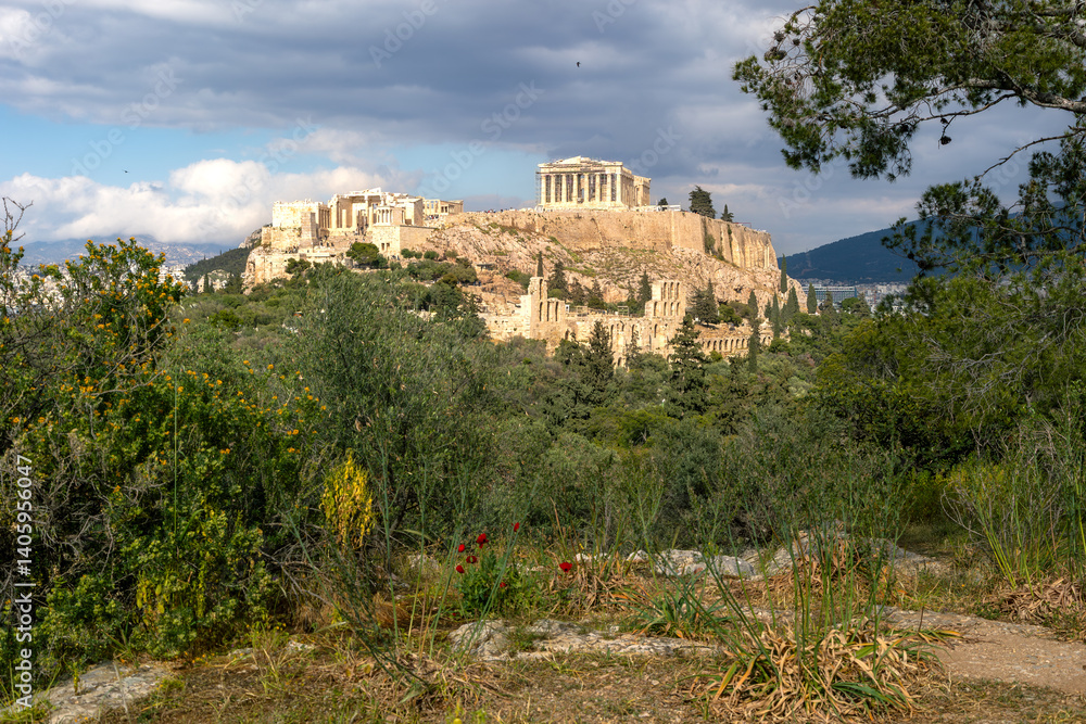 Fototapeta premium Parthenon in Athens framed by spring wildflowers and pine trees