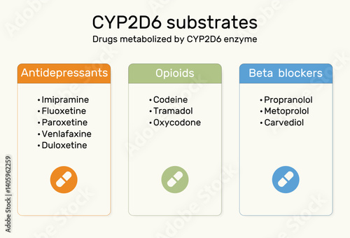 CYP2D6 substrates infographic. Drugs metabolized by CYP2D6 enzyme. Antidepressants, opioids, beta blockers