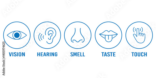 Human senses icon set. Vision eye, smell nose, hearing ear, touch hand, taste mouth with tongue. Simple line icons in circle. Five senses of human nervous system. set of five senses icon.