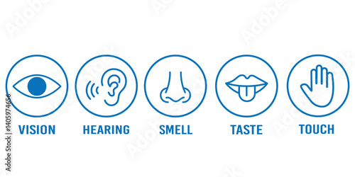 Human senses icon set. Vision eye, smell nose, hearing ear, touch hand, taste mouth with tongue. set of human five senses icon.