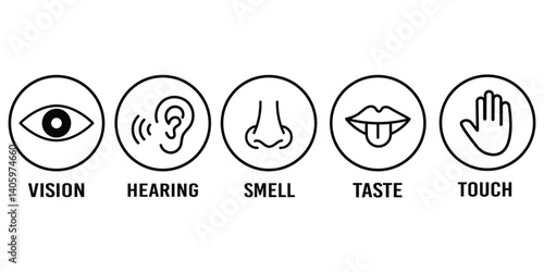 Human senses icon set. Vision eye, smell nose, hearing ear, touch hand, taste mouth with tongue. set of human five senses icon.